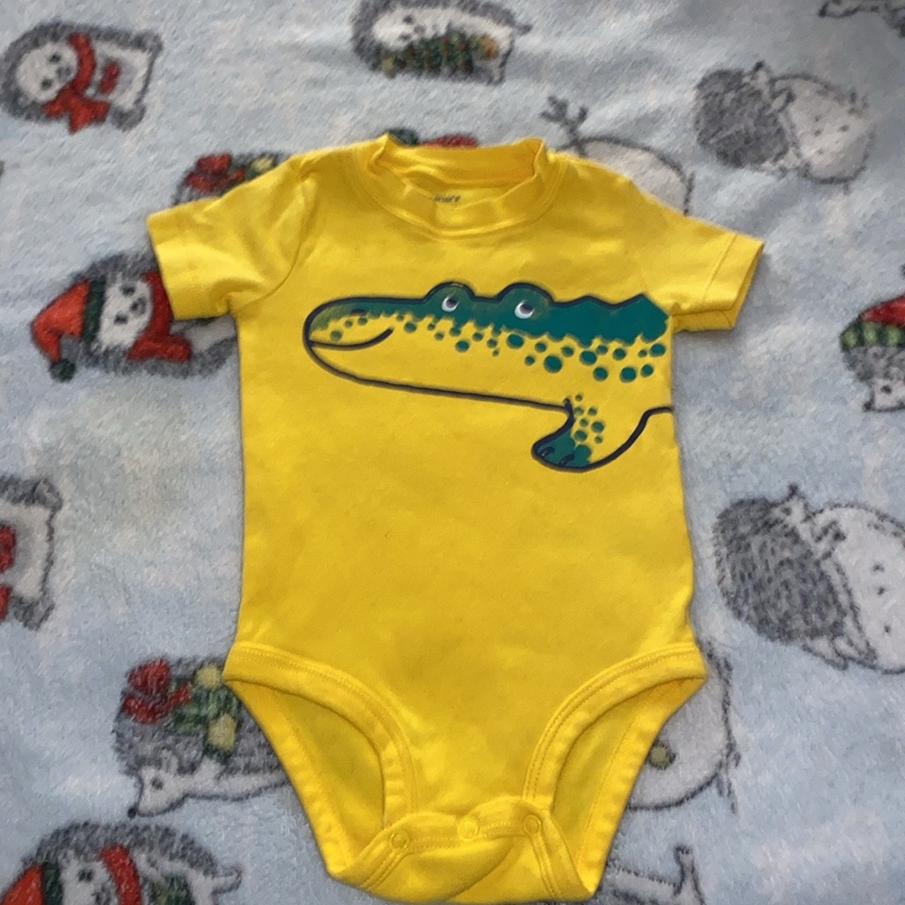 ❣️Carter’s❣️Assortment of Boy’s 18 months Shorts and Onesies - Picture 10 of 11